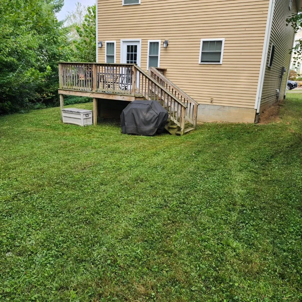 Top-rated lawn care service for outdoor upgrades across Solsberry, IN - Helping Hands Lawn and Landscape