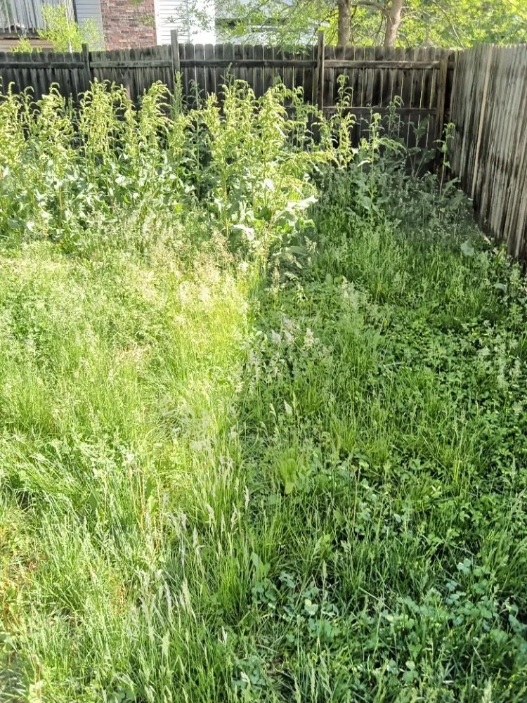 Expert lawn care service for year-round maintenance in KANSAS CITY, MO by Helping Hands Lawn Care