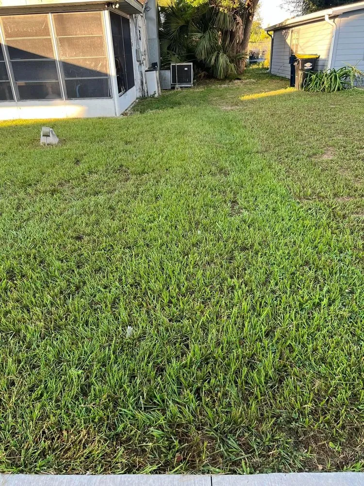 Reliable landscaping services in Auburndale, FL - Helping Hands Lawn Service