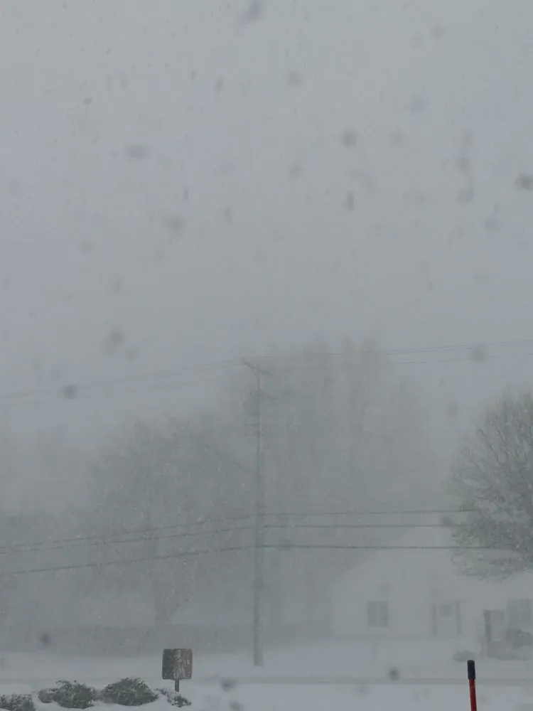 Reliable lawn mowing service in Ashtabula, OH by Helping Hands Property Maintenance