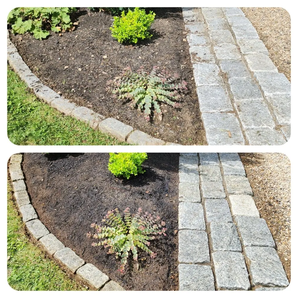 Reliable yard cleanup service experts serving Nobleboro, ME - Helping Hands Property Services