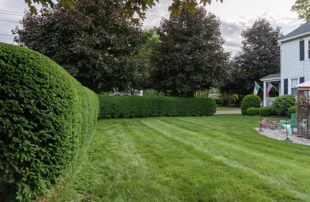 Affordable garden landscaping for year-round maintenance in South Deerfield, MA by Helstowski Tree and Landscaping
