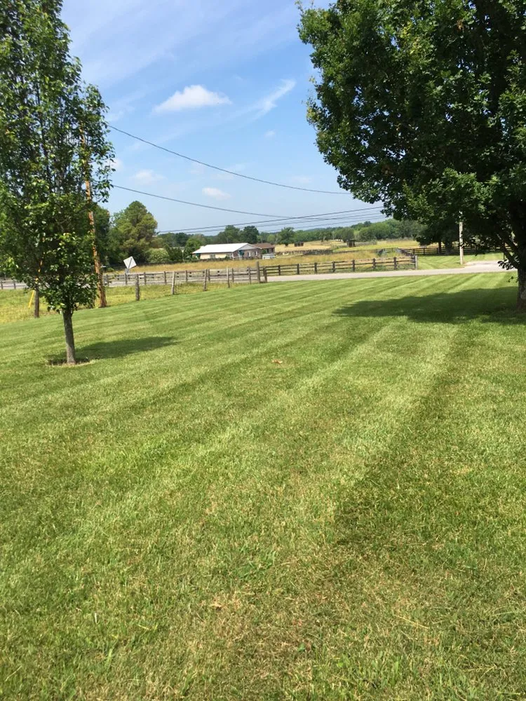 Top-rated lawn care service near you in Shelbyville, TN by Heltons Lawn Care