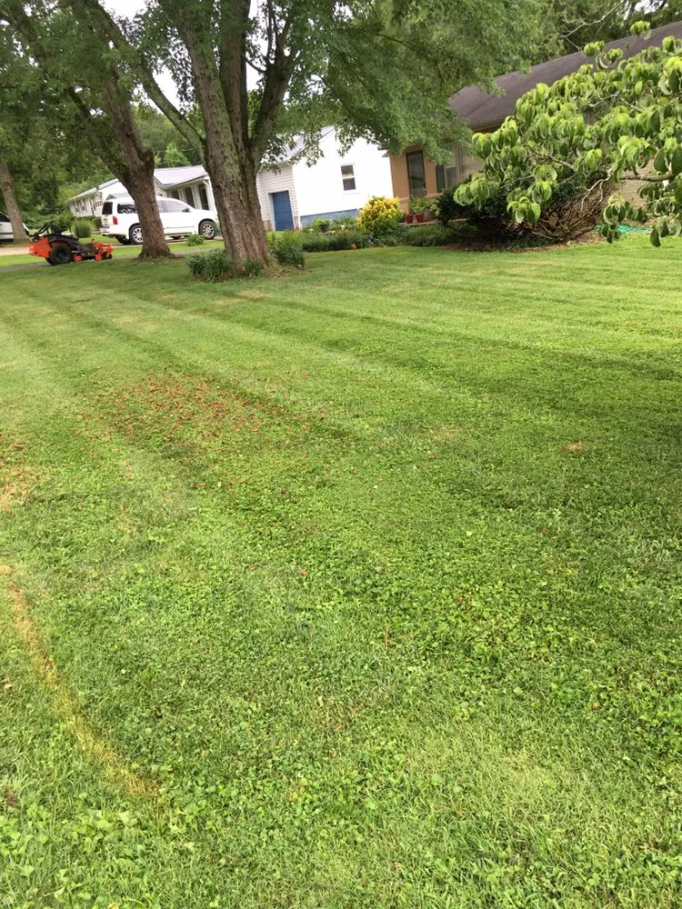Affordable lawn care service in Shelbyville, TN by Heltons Lawn Care