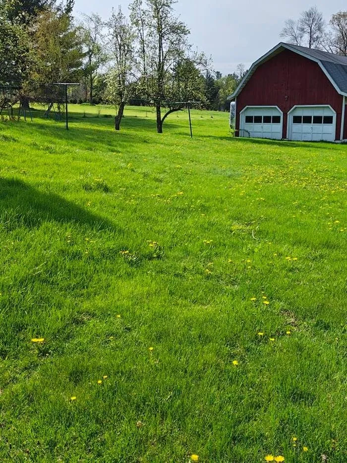 Reliable outdoor landscaping near you across Rossiter, PA - Hemlock Lake Lawn Care