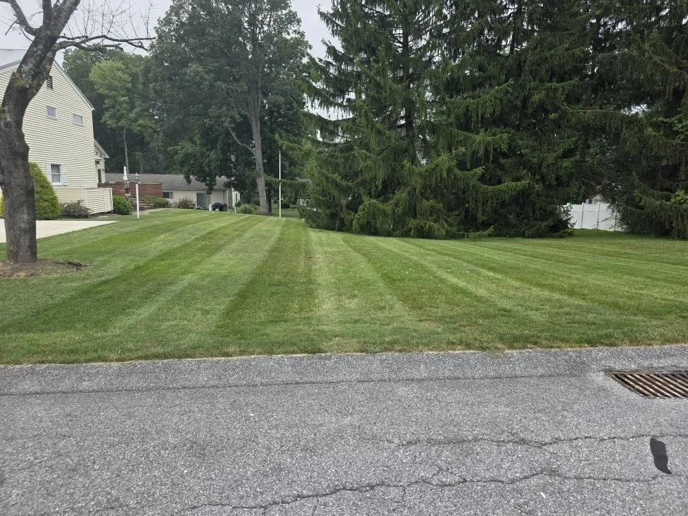 Trusted landscaping services for residential properties in Rossiter, PA by Hemlock Lake Lawn Care