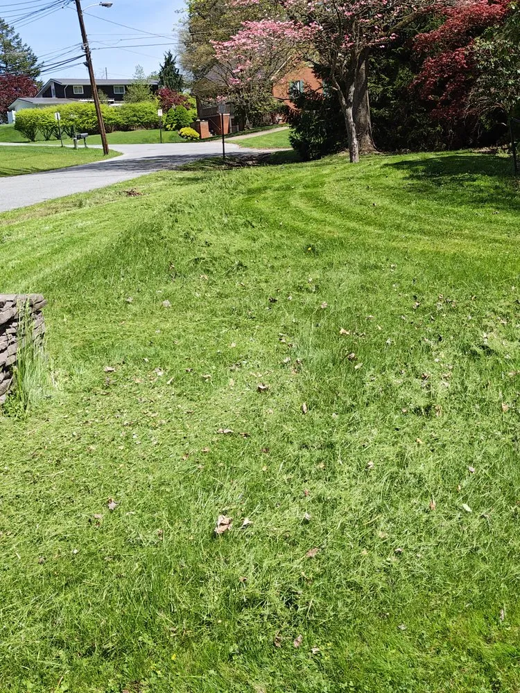Top-rated landscaping services for beautiful yards across Rossiter, PA - Hemlock Lake Lawn Care