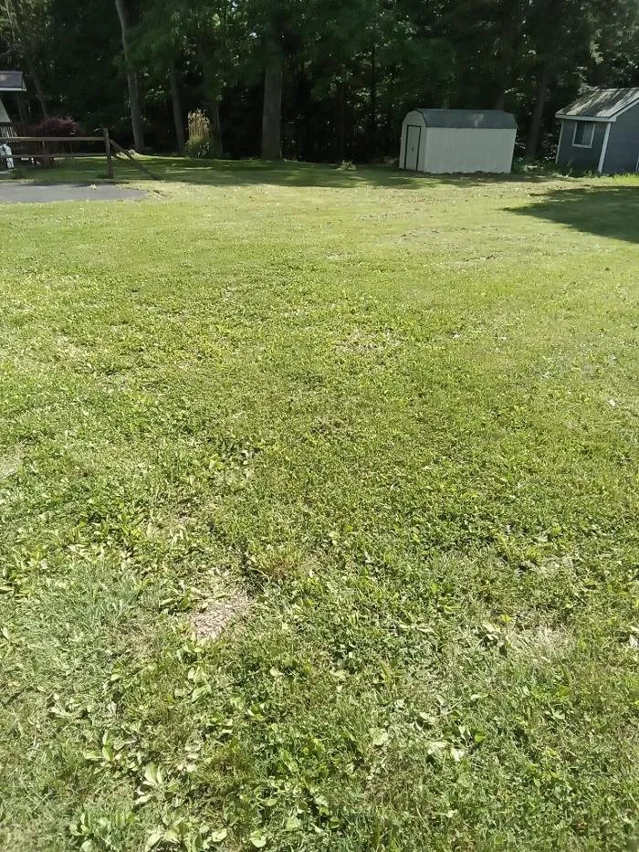 Expert lawn care service in Rossiter, PA - Hemlock Lake Lawn Care