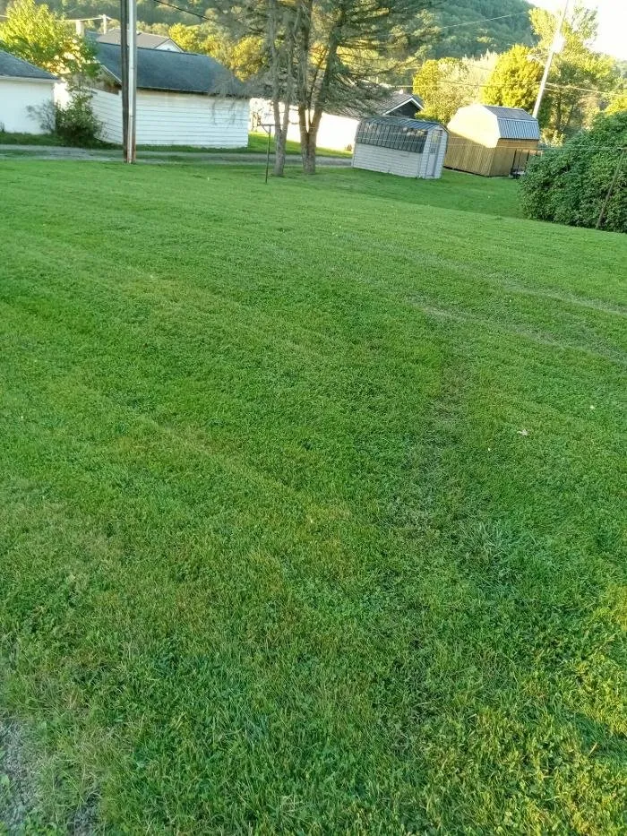 Reliable lawn mowing service in Rossiter, PA - Hemlock Lake Lawn Care