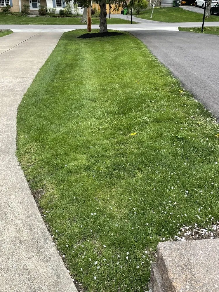 Trusted lawn care service in Chagrin Falls, OH by Hemlock Landscapes