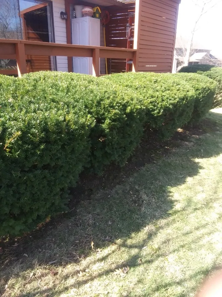 Expert yard maintenance for beautiful yards across Mexico, MO - Hemphill Outdoor Services