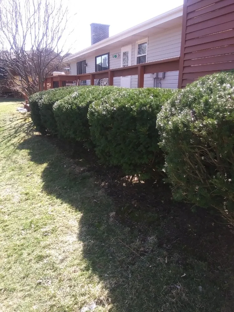 Top-rated yard maintenance in Mexico, MO - Hemphill Outdoor Services