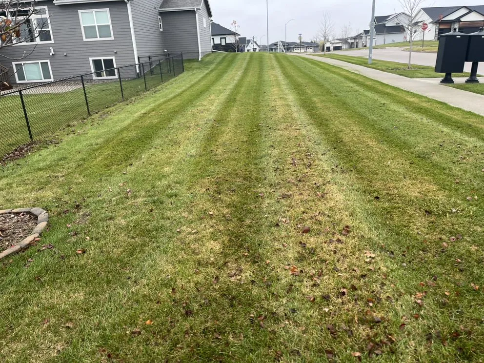 Affordable lawn mowing service in Des Moines, IA by Hemphill's Lawn And Landscape