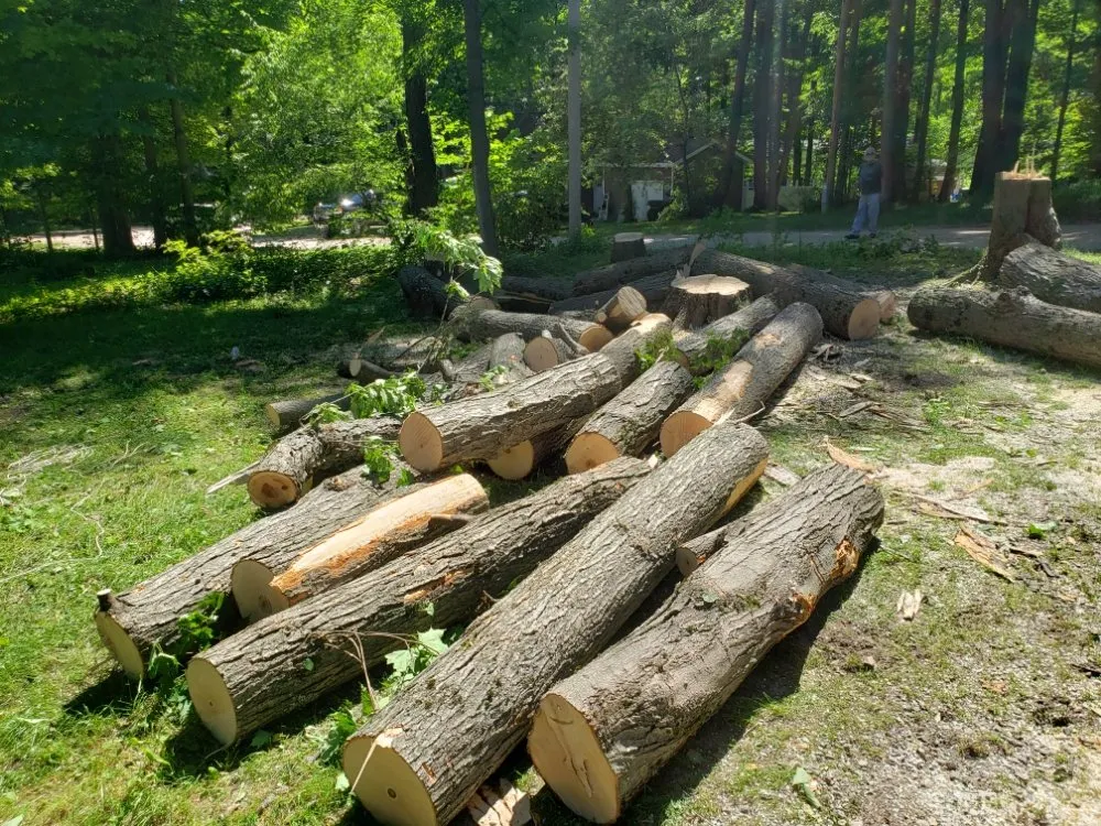 Expert yard cleanup service in Fife Lake, MI - Hempton Lawn And Tree