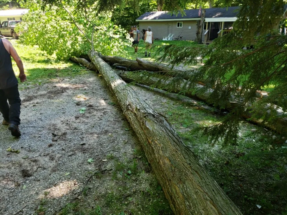 Expert lawn mowing service for outdoor upgrades across Fife Lake, MI - Hempton Lawn And Tree