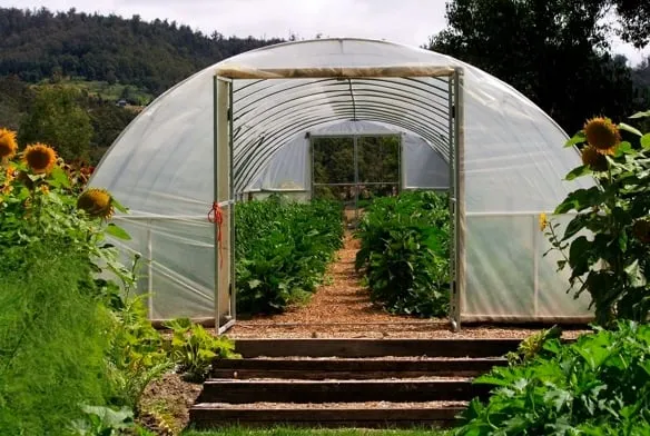 Trusted landscaping services in Pittsboro, NC by Hendalls Edible Landscaping