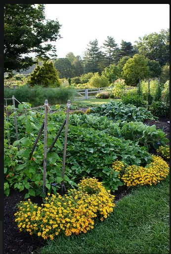 Trusted outdoor landscaping for year-round maintenance in Pittsboro, NC by Hendalls Edible Landscaping