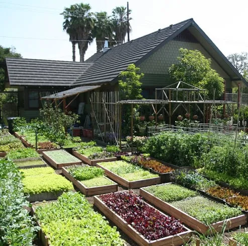 Top-rated yard maintenance in Pittsboro, NC by Hendalls Edible Landscaping