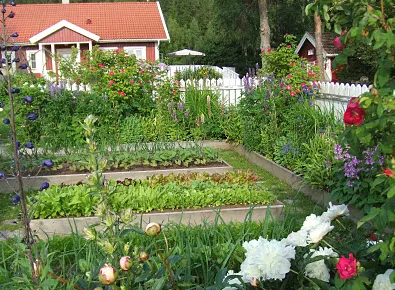 Trusted residential landscaping in Pittsboro, NC by Hendalls Edible Landscaping