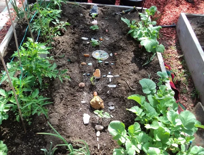 Trusted landscape installation experts serving Pittsboro, NC - Hendalls Edible Landscaping