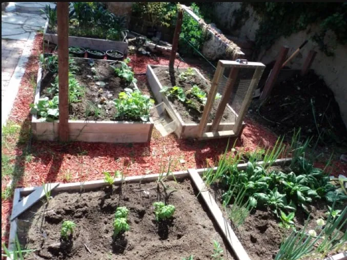 Reliable lawn mowing service for residential properties in Pittsboro, NC by Hendalls Edible Landscaping