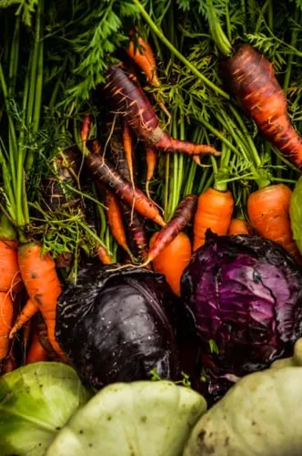 Trusted landscape design near you across Pittsboro, NC - Hendalls Edible Landscaping