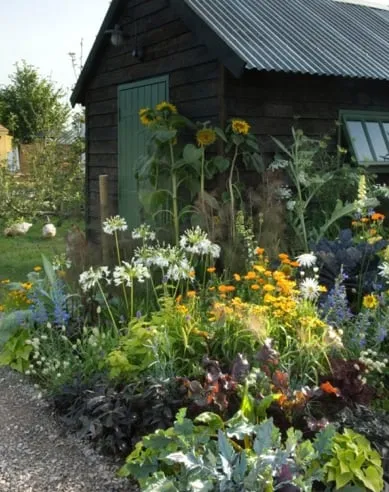 Trusted garden landscaping for outdoor upgrades across Pittsboro, NC - Hendalls Edible Landscaping