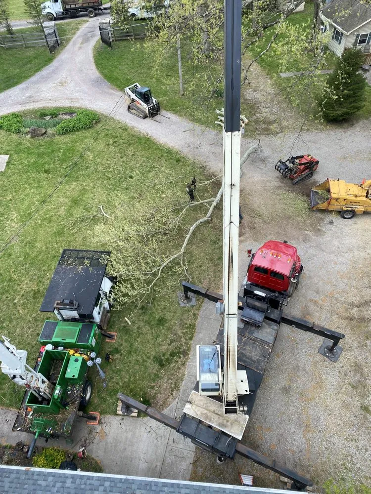 Expert garden landscaping experts serving Hamilton, OH - Hendel's Tree Service & Landscaping