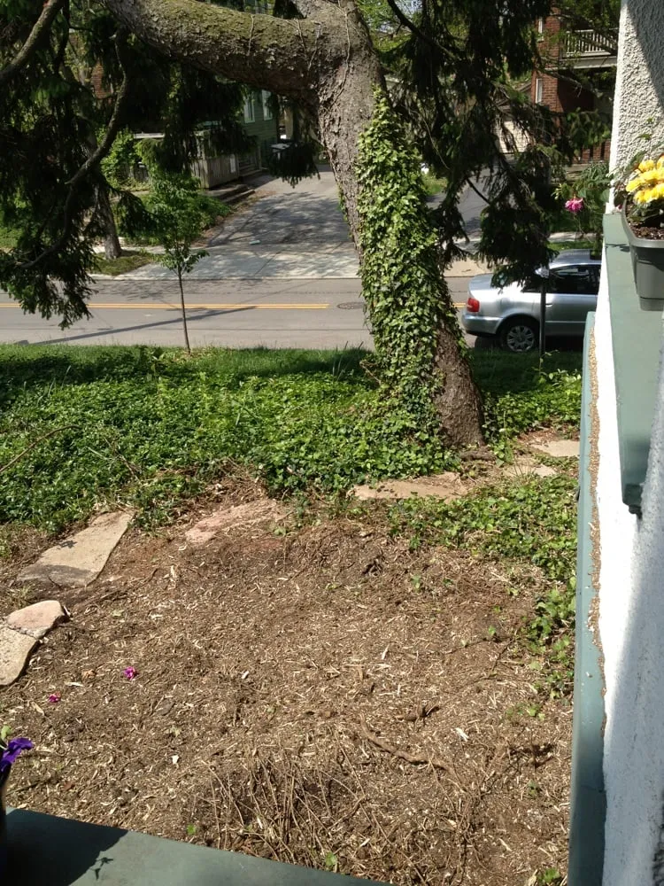 Professional garden landscaping experts serving Hamilton, OH - Hendel's Tree Service & Landscaping