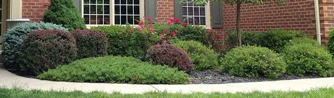Trusted lawn care service for year-round maintenance across Hamilton, OH - Hendel's Tree Service & Landscaping