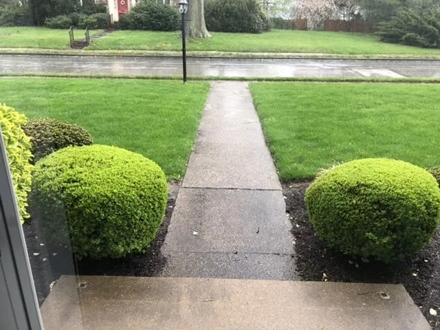 Top-rated outdoor landscaping for outdoor upgrades across Springfield, PA - Henderson Fertilizing