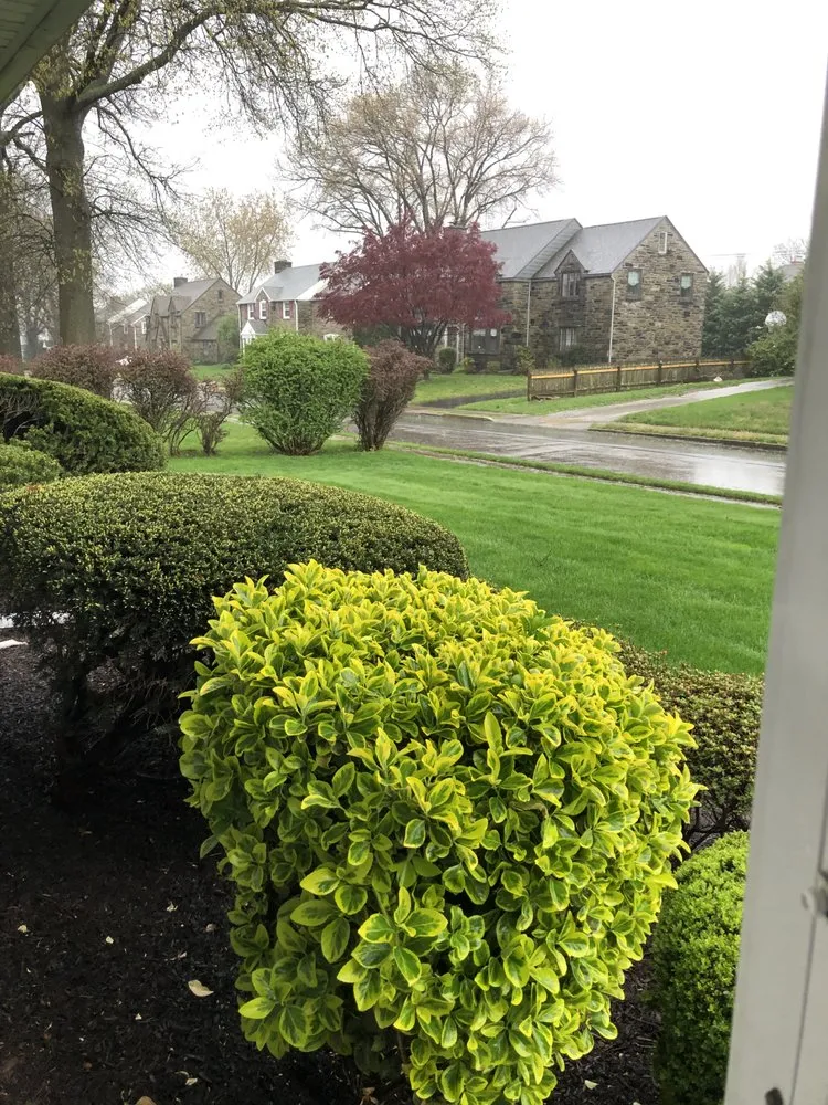 Affordable residential landscaping for outdoor upgrades across Springfield, PA - Henderson Fertilizing