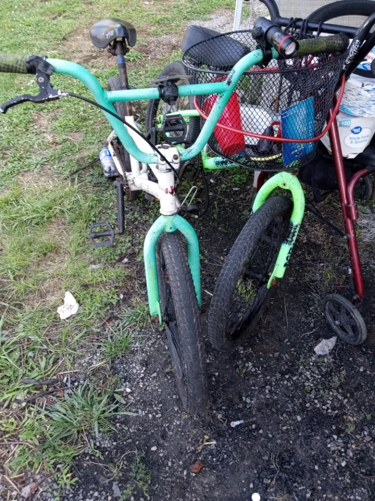 Reliable yard cleanup service for beautiful yards across Bryan, OH - Henderson Lawn Care