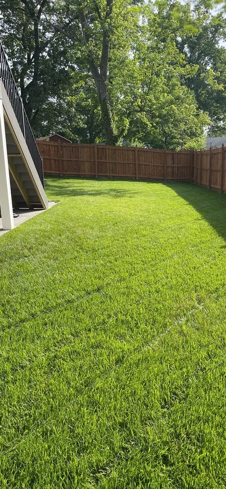 Local yard maintenance experts serving Columbia, IL - Henderson Lawn Care