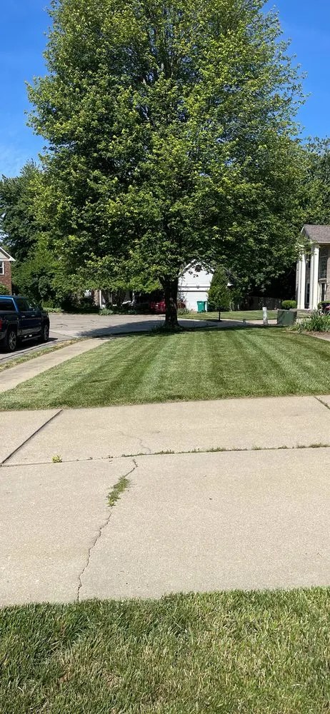 Expert lawn mowing service in Columbia, IL by Henderson Lawn Care