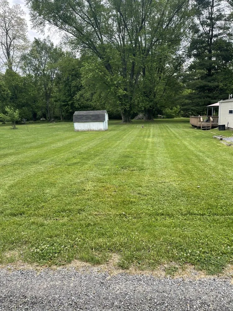 Local landscape installation in Columbia, IL by Henderson Lawn Care