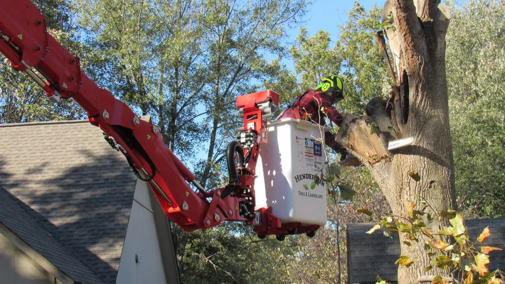 Top-rated garden landscaping for residential properties in Tulsa, OK by Henderson Tree and Landscape