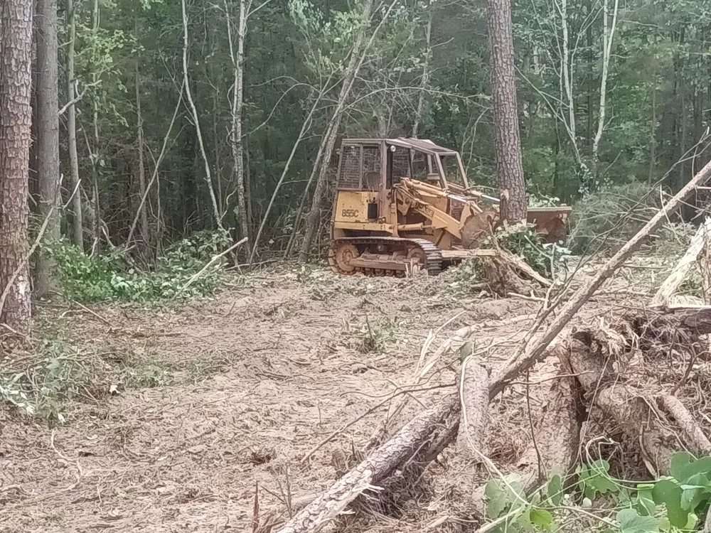 Expert landscaping services for residential properties in Buffalo, SC by Henderson's Grading & Landscaping