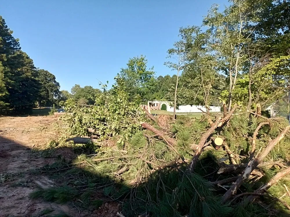 Professional lawn care service for year-round maintenance across Buffalo, SC - Henderson's Grading & Landscaping