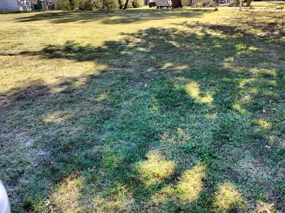 Professional landscaping services in Paola, KS - Henderson's Lawncare