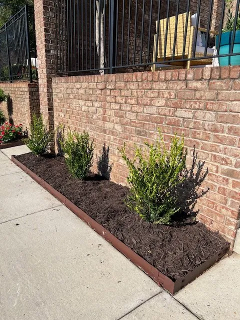 Expert outdoor landscaping in Lake Park, NC by Hendrick Handyman Solutions