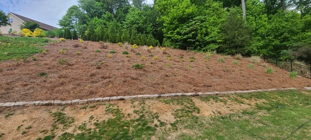 Top-rated yard cleanup service in Lake Park, NC - Hendrick Handyman Solutions