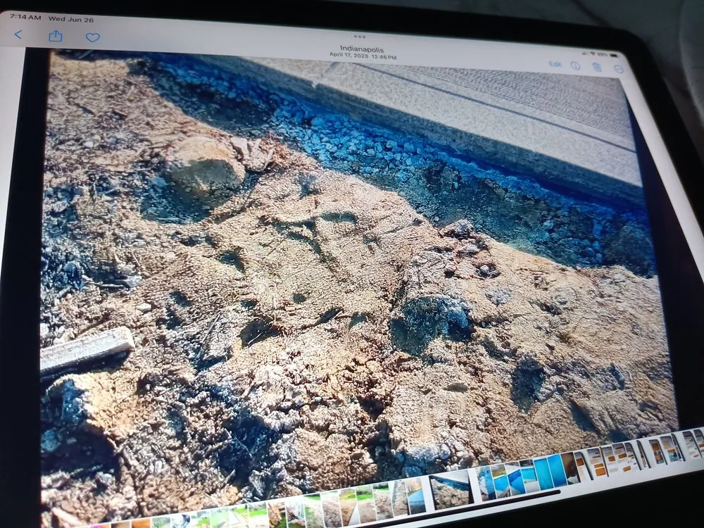 Professional lawn mowing service in McCordsville, IN - Hendrick Pool and Lawn Service