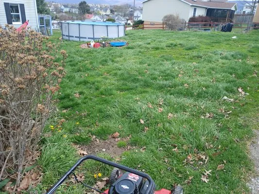 Hendricks Lawn n Land