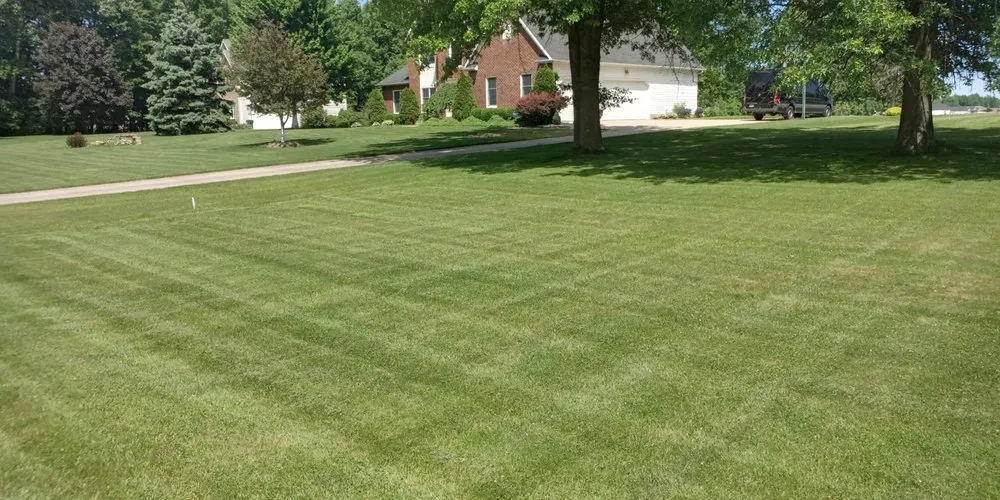 Affordable yard cleanup service in Elyria, OH by Hendricks Mowing