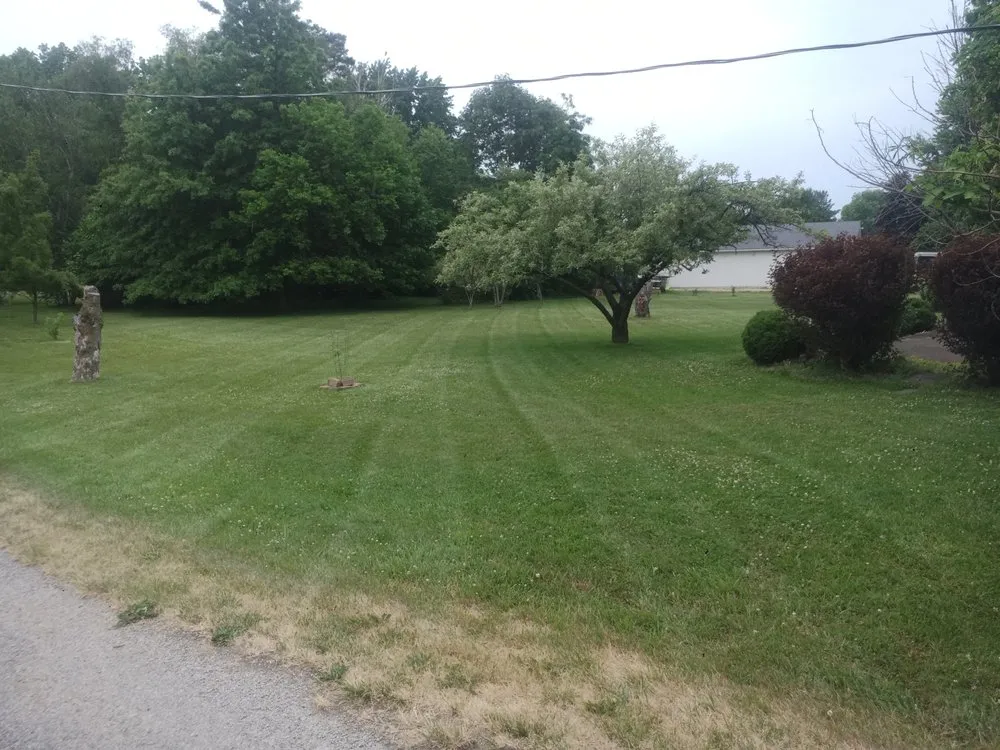 Reliable yard cleanup service in Elyria, OH by Hendricks Mowing