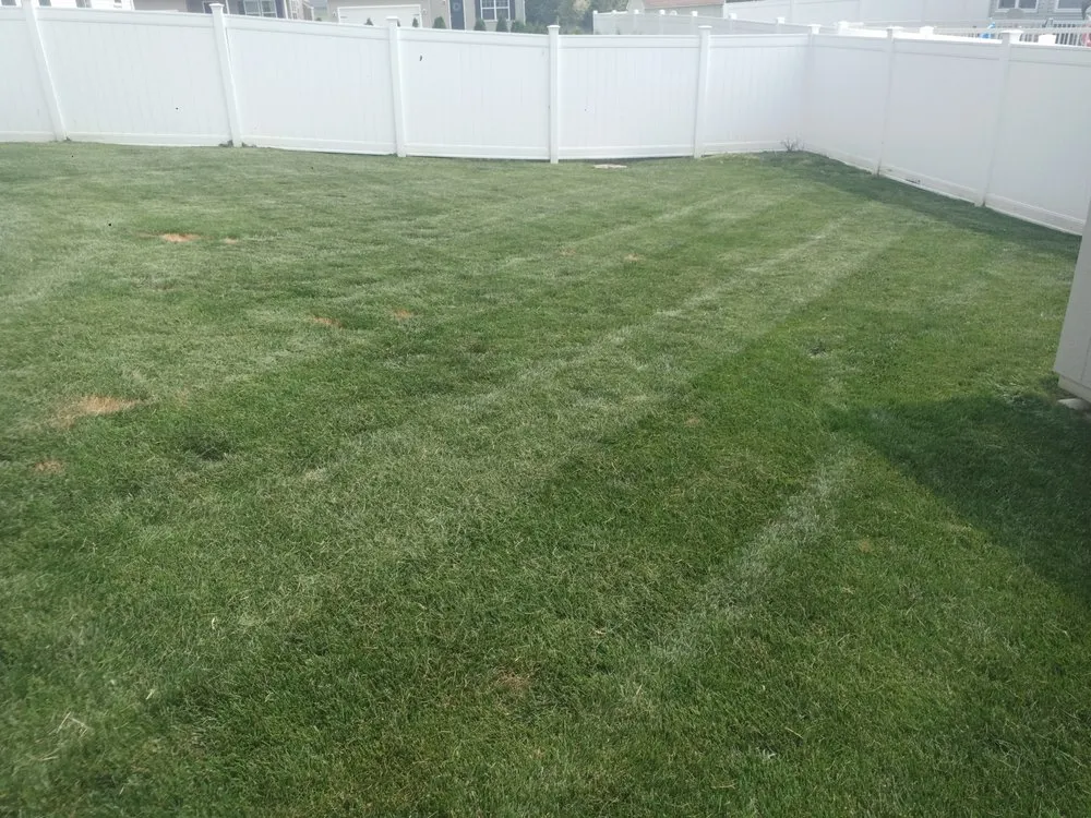 Trusted landscaping services in Elyria, OH by Hendricks Mowing