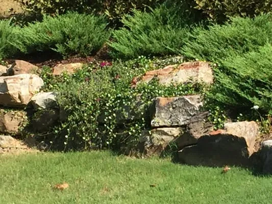 Hendrix Landscaping Services
