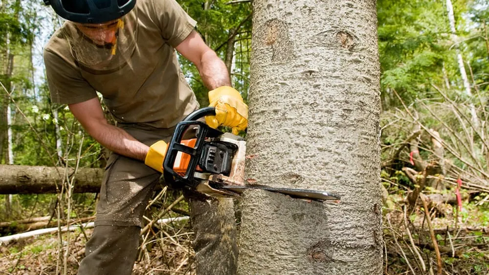 Local landscape installation for residential properties in Milmine, IL by Hendrix Tree Service