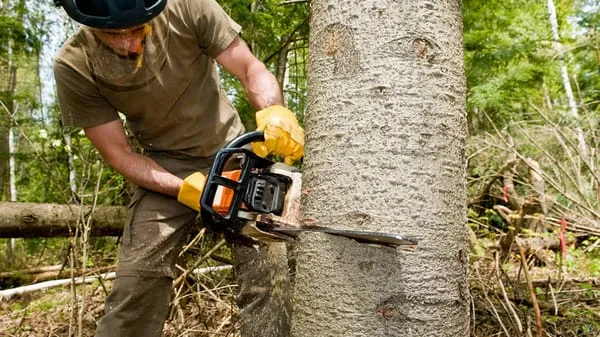 Hendrix Tree Service